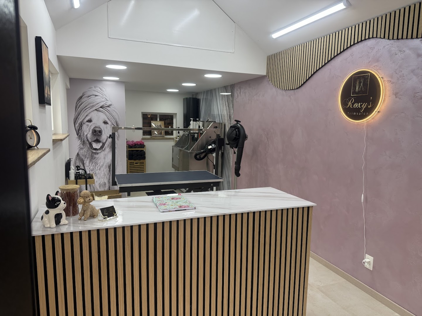 Overzicht van de salon met balie en het Roxy's Trimsalon neonbord